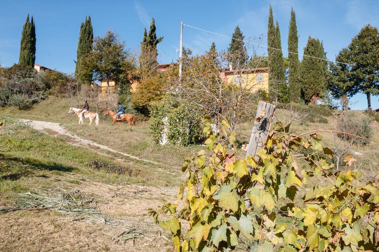 Podere Dell'Anselmo Montespertoli Exteriér fotografie